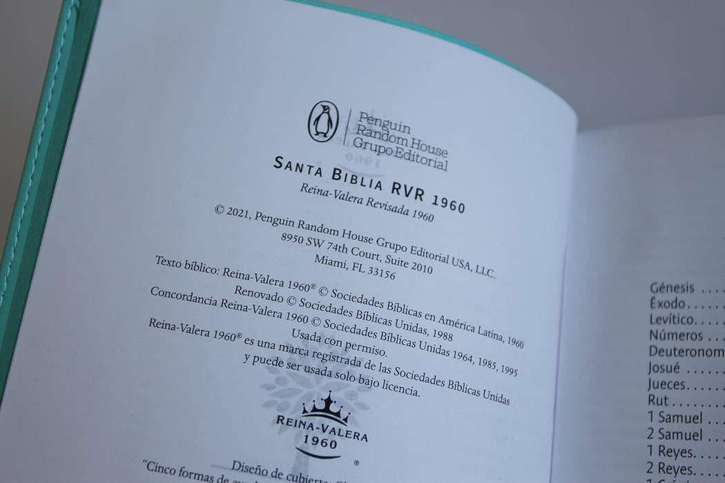 Biblia RVR 1960 Letra Grande Tamaño Manual, Símil Piel Aquamarina Solapa Con Imagenes De Tierra Santa