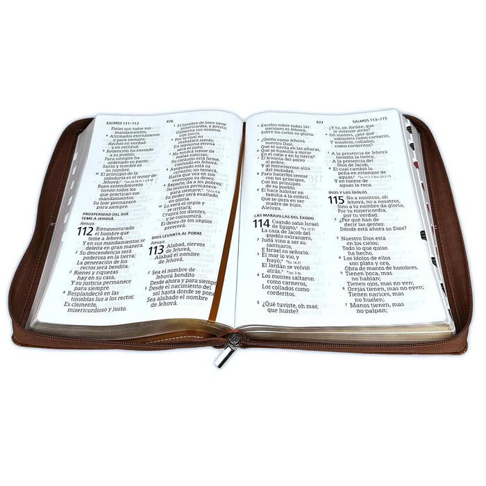Biblia Letra Super Gigante 19 Puntos Con Cierre Rv1960 Caoba Con Indice
