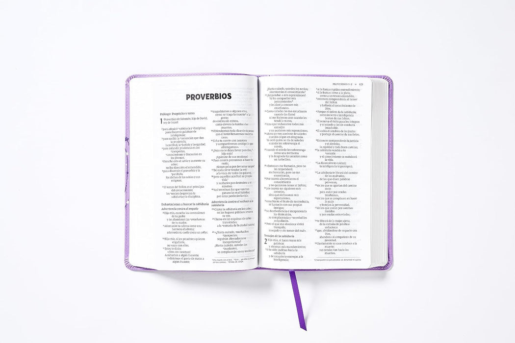 Biblia para Niños NVI, Texto revisado 2022, Leathersoft, Lavanda, Comfort Print