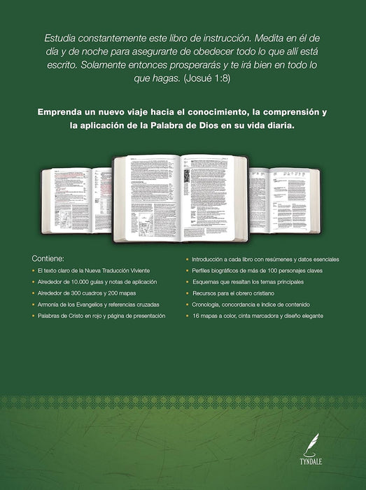 Biblia de estudio del diario vivir NTV (Letra Roja, SentiPiel, Gris/Verde, Índice) (Spanish Edition)