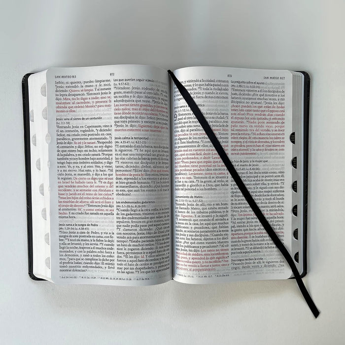 Biblia RVR 1960 letra grande tamaño manual, tapa dura León de Juda con índice