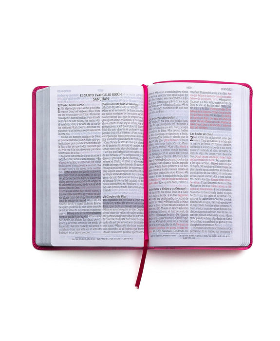 Santa Biblia de Promesas Reina-Valera 1960 / Tamaño Manual / Letra Grande / Piel Especial / Fucsia