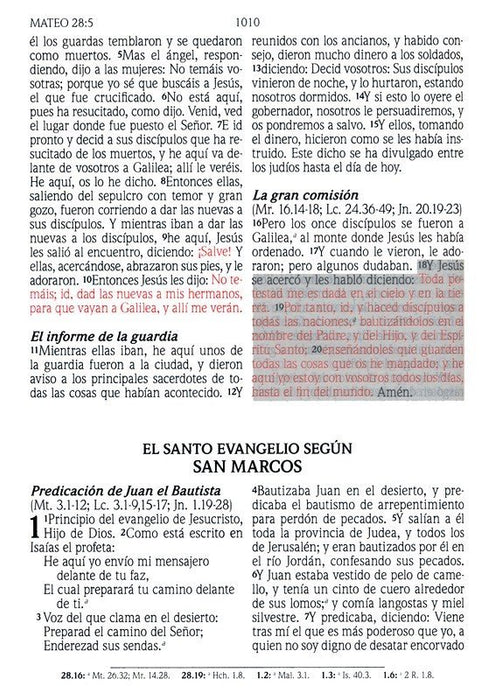 Santa Biblia de Promesas Reina-Valera 1960 / Letra Gigante - 13 puntos / Piel Especial con Índice / Negra