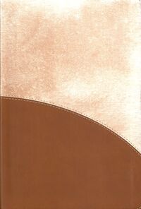 Bible -  CSB Rainbow Study Bible, Brown Leathertouch