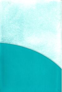 Bible -  CSB Rainbow Study Bible, Turquoise Leathertouch
