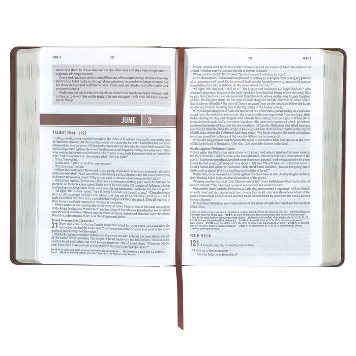 Bible - NLT Everyday Devotional Bible for Men Brown