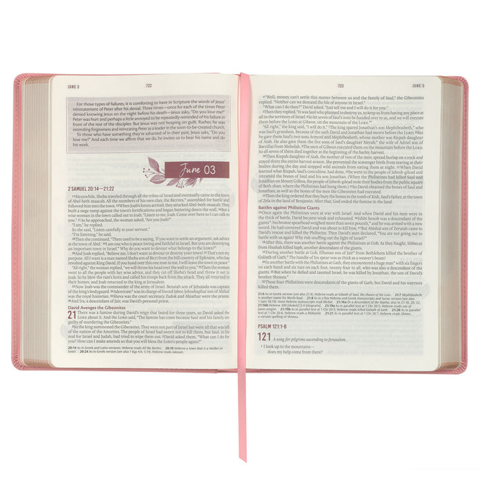 Bible - NLT Everyday Devotional Bible for Women Pink