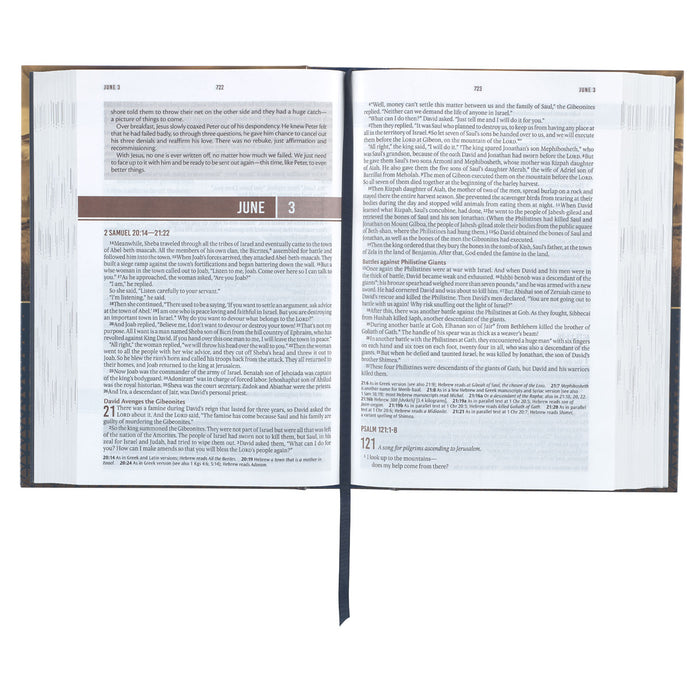 Bible - NLT Everyday Devotional Bible for Men Mountain View