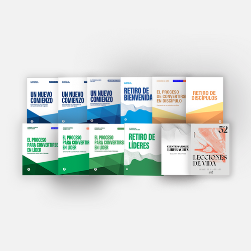 Nuevo Paquete La Vision - Manuales Digitales