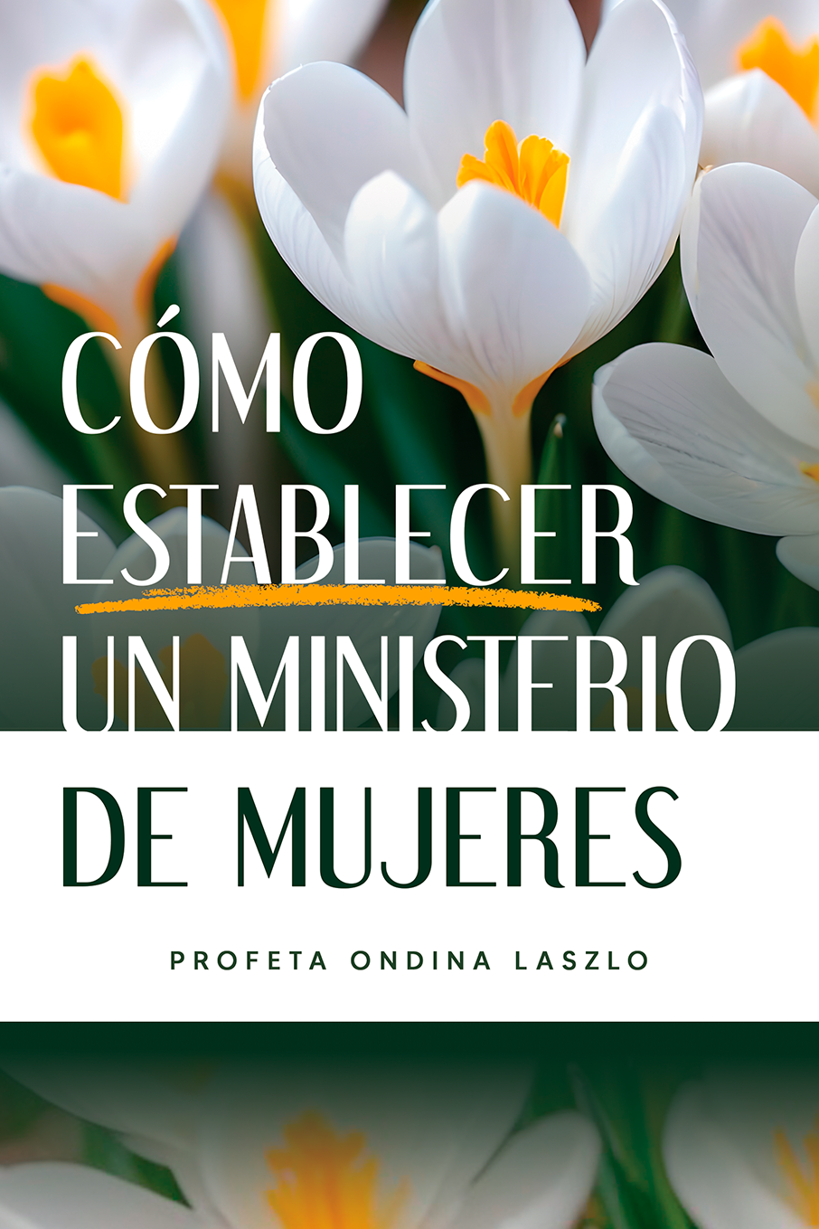 How to Establish a Women's Ministry - Como Establecer un Ministerio de Mujeres - Manual