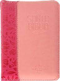 Biblia Reina Valera 1960 Fucsia
