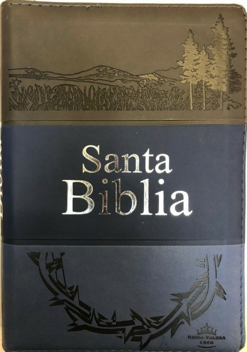 Santa Biblia - RVR 1960