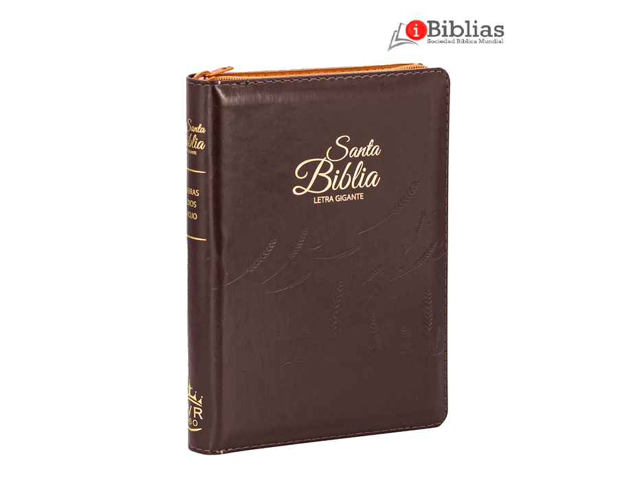Biblia 14 Pts. RV1960 Cafe