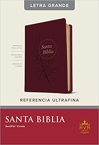 Santa Biblia RVR60, Edición de referencia ultrafina, letra grande (Letra Roja, SentiPiel, Ciruela, Índice) (Spanish Edition)