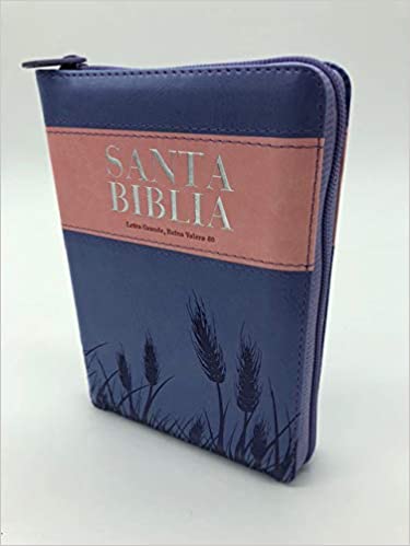 Biblia RVR60 tamaño portátil Letra Grande cierre/índice piel italiana lila/rosa con espigas