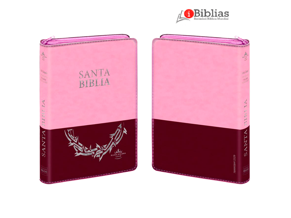 Biblia 12 Pts. RVR60 Rose/Pink
