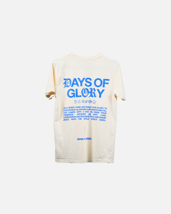 Days Of Glory T-Shirt