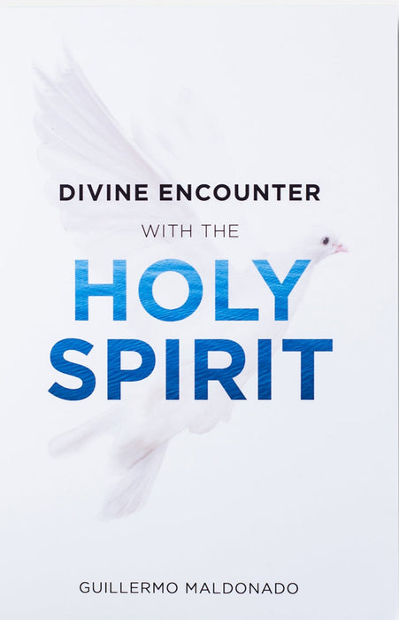 Divine Encounter with the Holy Spirit - Book